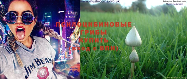 герыч Козловка