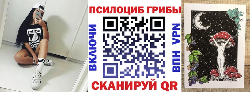 Купить  Бакал  Галлюциногенные грибы Magic Shrooms 